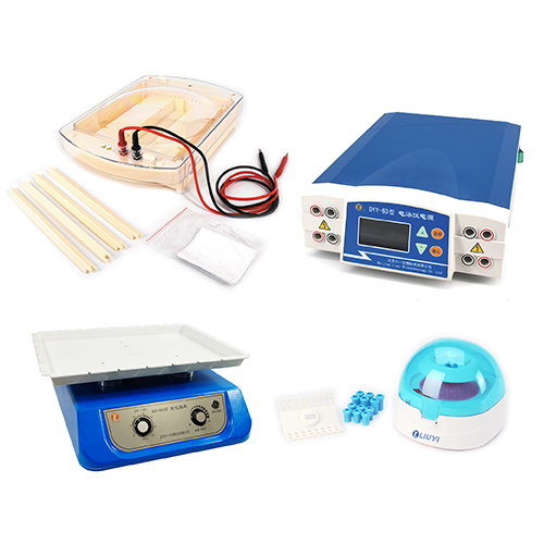 北京六一泳強快速臨床蛋白電泳檢測系統