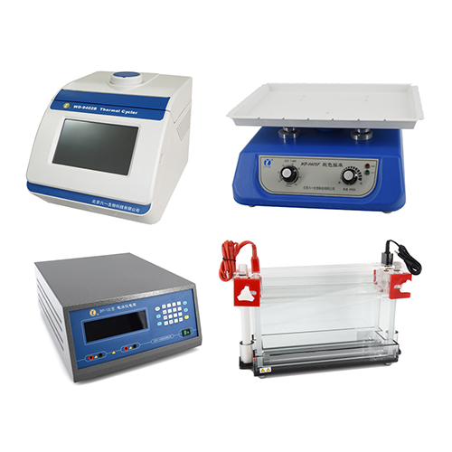 種子DNA檢測系統