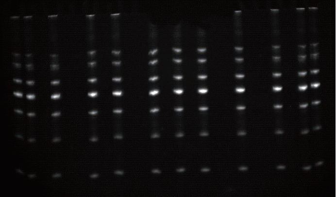 微信圖片_20201022143117