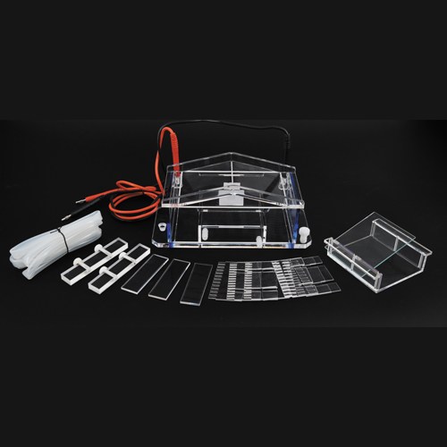 北京六一瓊DYCP-31A脂糖水平電泳儀電泳槽核酸電泳儀（微型）