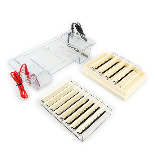 北京六一DYCP-32B瓊脂糖水平電泳儀電泳槽 核酸電泳儀（中號）