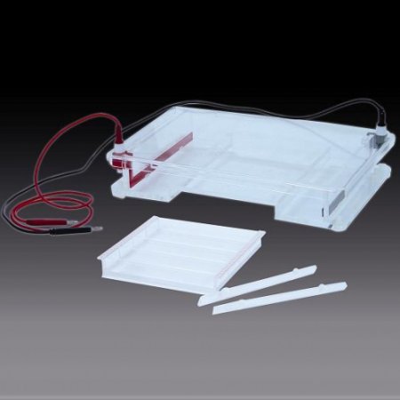 北京六一DYCP-31F瓊脂糖水平電泳儀電泳槽 核酸電泳儀(大號)