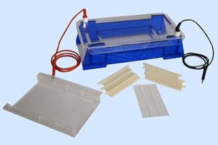 北京六一DYCP-33B瓊脂糖水平電泳儀電泳槽（中號）