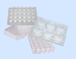 北京六一細胞培養板WD-2107