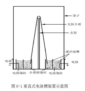 垂直式電泳槽裝置示意圖